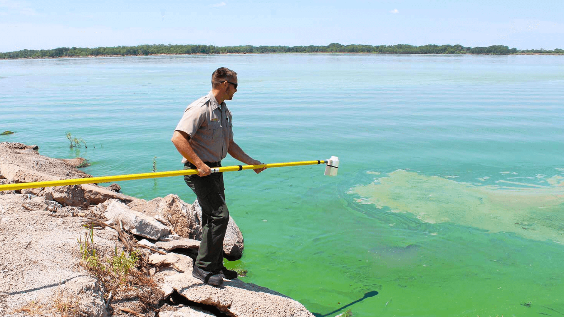 Harmful Algal Bloom Demonstration Program