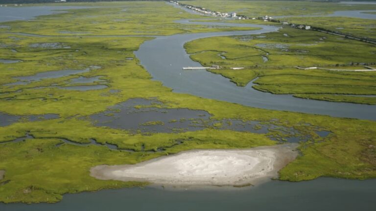 The U.S. Army Corps of Engineers partnered with the state of New Jersey, The Nature Conservancy, Green Trust Alliance and The Wetlands Institute to create nesting bird habitat at Ring Island near Stone Harbor, New Jersey.