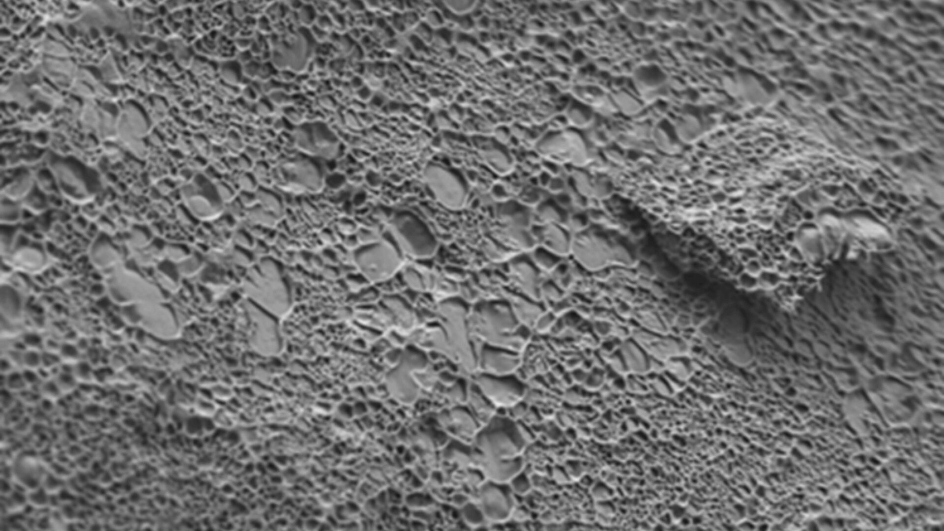 Image for biopolymers project